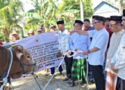 Iduladha 1446 Hijriah, Wabup Koltim Serahkan Sapi Kurban Bantuan Presiden Seberat 925 Kg
