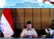Presiden Resmikan 47 PLTS, Akses Listrik Bersih Jangkau 5.383 Rumah Tangga di Wilayah 3T