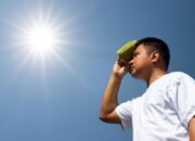 Suhu Panas Landa Sejumlah Wilayah Indonesia, BMKG Ungkap Penyebab dan Potensinya ke Depan