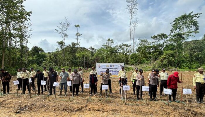Dukung Ketahanan Pangan, Dit Binmas Polda Sultra Tanam Jagung Serentak di HUT Satpam ke 45