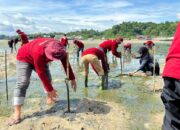 Jaga Ekosistem Pesisir, Pertamina Patra Niaga Sulawesi Tanam 1.000 Mangrove di Kendari