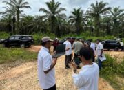 Hilirisasi Pangan Nasional, Holding Perkebunan Nusantara Melalui PalmCo Siapkan Lahan Peternakan Ayam Terintegrasi