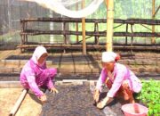 MIND ID Bina Lebih dari 10.000 UMKM untuk Perkuat Ekonomi Lokal dan Tekan Kemiskinan