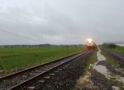 Jalur KA Tegowanu – Brumbung Aman Dilalui Usai Genangan Surut dan Dilakukan Penanganan Tim Daop 4, Perjalanan KA Normal Kembali