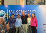 OK OCE Wujudkan Wirausaha Lestari di Bali Ocean Days 2026