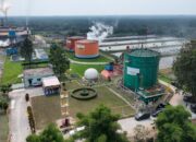 ROA PalmCo Tembus 7,9 Persen, Sinyal Penguatan Kinerja Aset Holding Perkebunan Nusantara