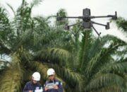 Teknologi LiDAR Zenmuse L3: Pemetaan Presisi di Area Perkebunan Berkanopi Lebat