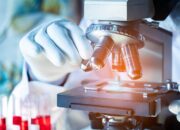 Prodia Hadirkan Advanced Lipid Profile dengan Report   Komprehensif, Bantu Masyarakat Pahami Arti di Balik Angka Kolesterol