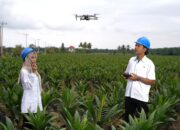 Holding Perkebunan Nusantara Percepat Transformasi Digital, PalmCo Sertifikasi Operator Drone Perkuat Sistem Pemantauan Kebun