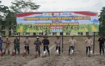 Dukung Swasembada Pangan, Polda Sultra Tanam Jagung Serentak di Kuartal I 2026
