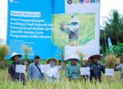 Dukung Asta Cita Presiden, PT Vale Panen Bersama Demplot Padi Berkelanjutan di Kolaka