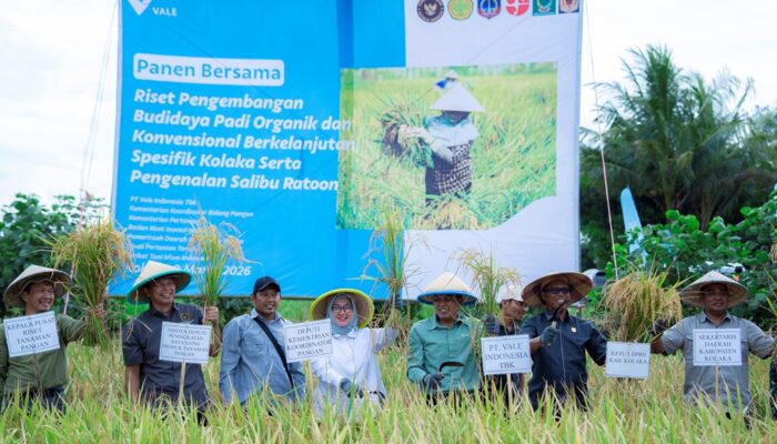 Dukung Asta Cita Presiden, PT Vale Panen Bersama Demplot Padi Berkelanjutan di Kolaka