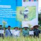 Dukung Asta Cita Presiden, PT Vale Panen Bersama Demplot Padi Berkelanjutan di Kolaka