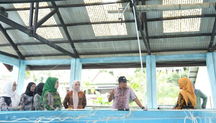 Bukan Sekadar Target PAD, Wagub Sultra Ingin Nasib Nelayan Berubah Total