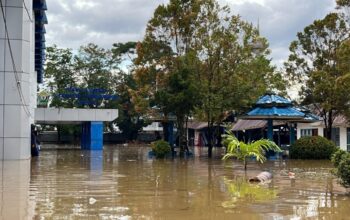 Kantor Diskominfo Sultra Terendam Banjir, Sejumlah Mobil Dinas Terjebak Karena Sopir WFH