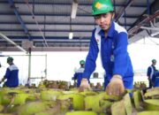 Waspada Modus Penipuan, Pertamina Tegaskan Pendaftaran Pangkalan LPG Tanpa Biaya