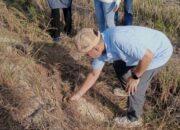 Kadistannak Sultra Pimpin Aksi Basmi Hama di Koltim, Langkah Nyata Amankan Stok Pangan