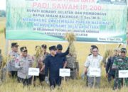 Distanak Sultra Kebut Ketahanan Pangan: Panen Raya dan Salurkan Bantuan ke Petani Konsel