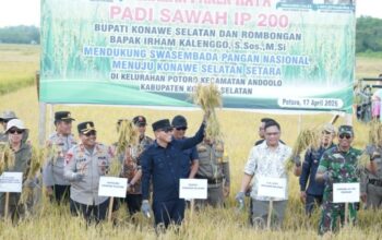 Distanak Sultra Kebut Ketahanan Pangan: Panen Raya dan Salurkan Bantuan ke Petani Konsel