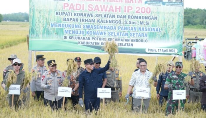 Distanak Sultra Kebut Ketahanan Pangan: Panen Raya dan Salurkan Bantuan ke Petani Konsel