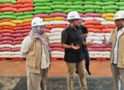 Pastikan Stok Pangan Aman, Senator La Ode Umar Bonte Cek Langsung Gudang Bulog Sultra