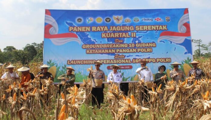 Dukung Ketahanan Pangan, Pemprov Sultra Apresiasi Panen Raya Jagung Polda Sultra