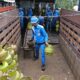 Jelang Iduladha 1447H, Pertamina Pasok Tambahan BBM dan LPG 3 Kg di Sulawesi