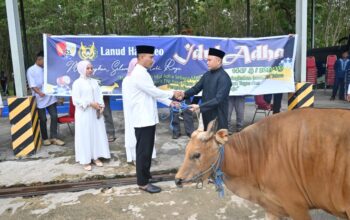 Semangat Berbagi, Danlanud Haluoleo Serahkan Hewan Kurban Usai Salat Idul Adha 1447
