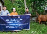 Momen Idul Adha, Bank Sultra Distribusikan 23 Ekor Sapi Kurban ke Seluruh Wilayah Sultra