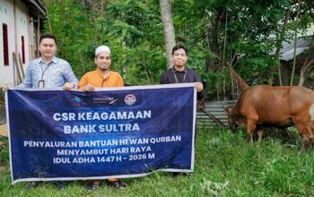 Momen Idul Adha, Bank Sultra Distribusikan 23 Ekor Sapi Kurban ke Seluruh Wilayah Sultra