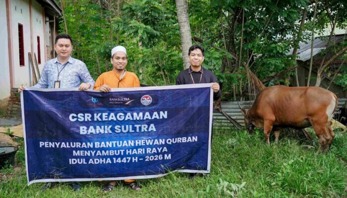 Momen Idul Adha, Bank Sultra Distribusikan 23 Ekor Sapi Kurban ke Seluruh Wilayah Sultra