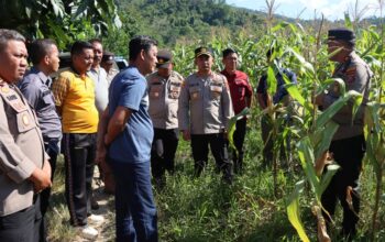 Perkuat Ketahanan Pangan, Kapolres Konawe Cek Langsung Potensi Lahan Jagung Desa Walay