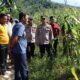 Perkuat Ketahanan Pangan, Kapolres Konawe Cek Langsung Potensi Lahan Jagung Desa Walay