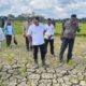 50 Hektare Sawah Kritis akibat Kekeringan, Pemda Mubar Siapkan Pompa dan BBM